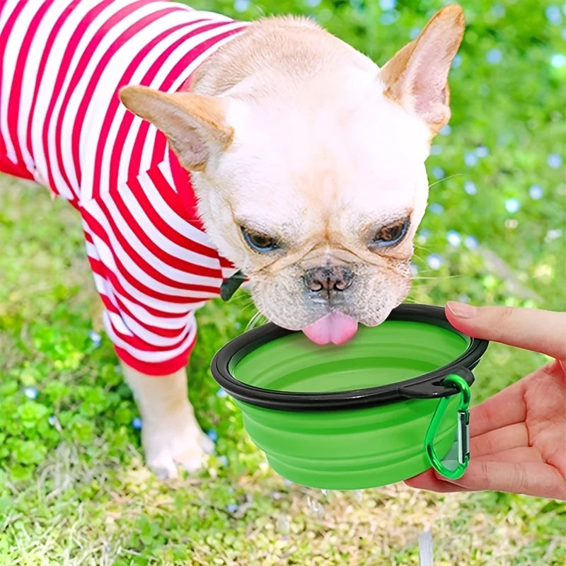 Collapsible travel pet bowl for dogs and cats