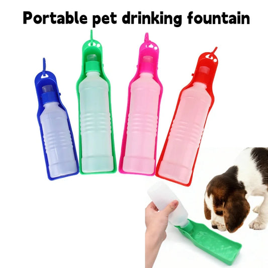Travel water bottle and food container