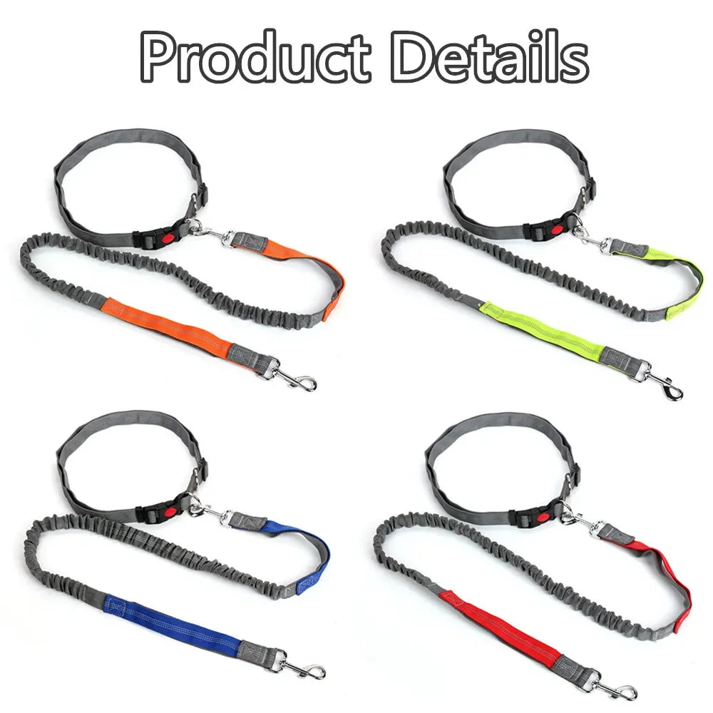 Retractable Dog Leash with Adjustable Waist Rope Hand Free Running Jogging Cycling Big Dogs Pet Elasticity Lead Pet Supplies