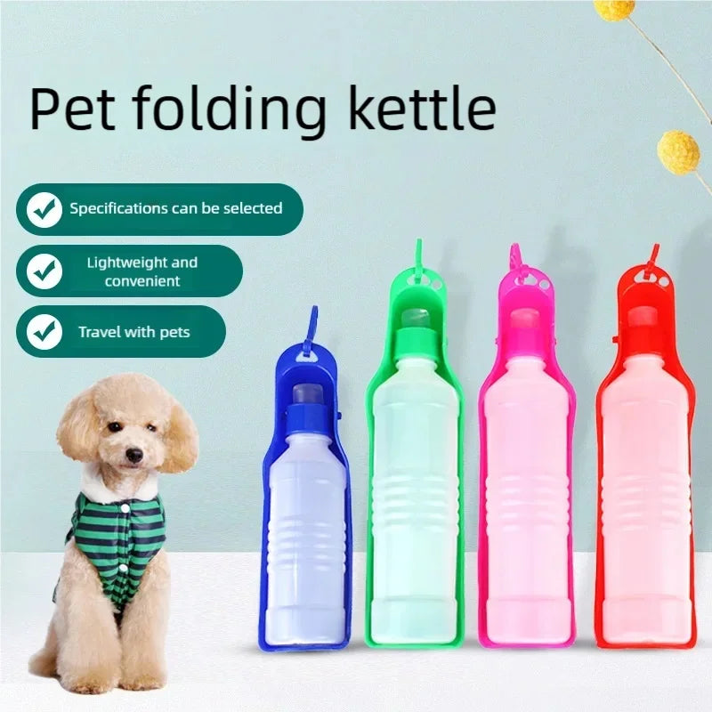 Travel water bottle and food container