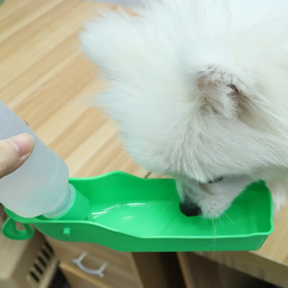Travel water bottle and food container