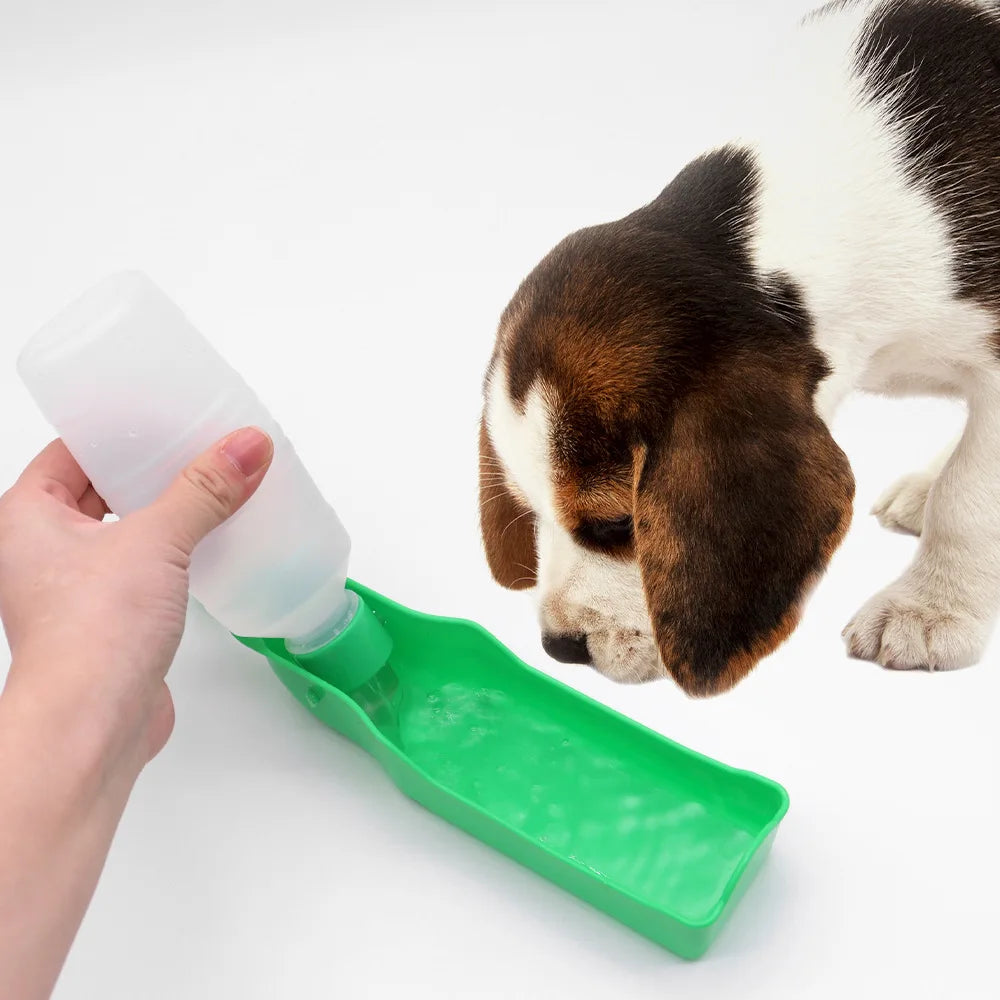 Travel water bottle and food container