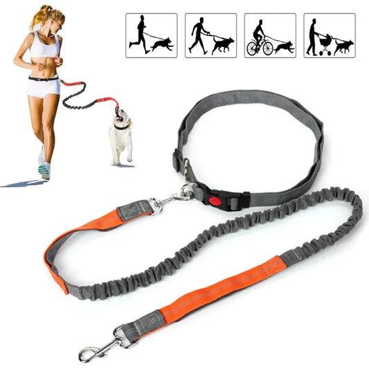 Paws on the go  hands-free running leash